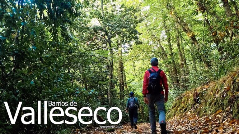 Mejores Rutas de Caminata Cerca de Valleseco