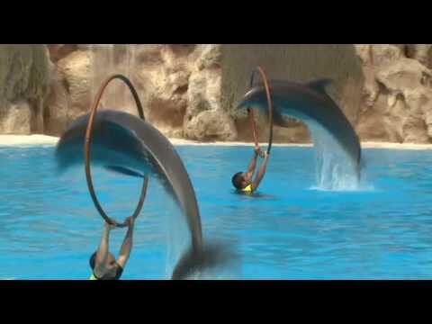 Parques con Estanques en Santa Cruz de Tenerife