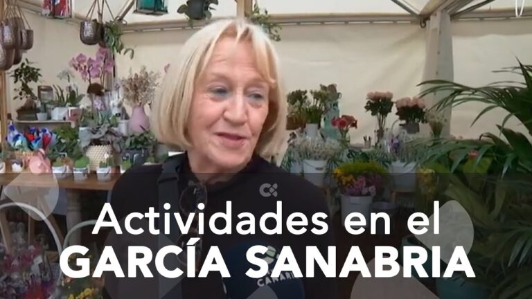 Guía para Conseguir Entradas de Eventos en Santa Cruz de Tenerife