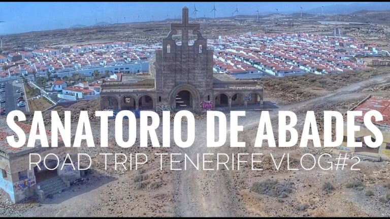 Senderismo con Perros en Tabaiba: Mejores Rutas y Consejos