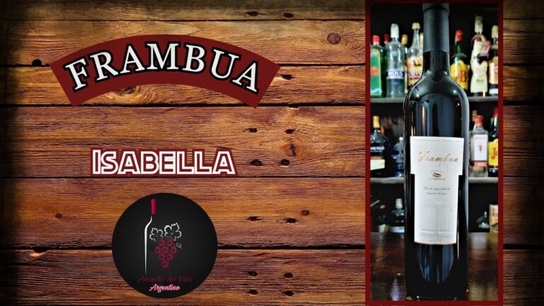 Los Mejores Lugares para Disfrutar Vino en Valleseco