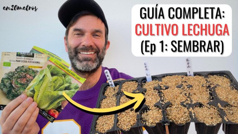 Descubre los Mejores Productos Gourmet en Almáciga