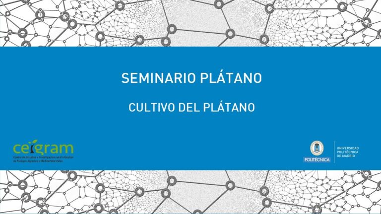 Cursos de Jardinería en Santa Cruz de Tenerife: Opciones Disponibles
