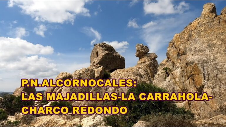 Calidad de Vida en Cueva Bermeja: Un An&aacute;lisis Exhaustivo