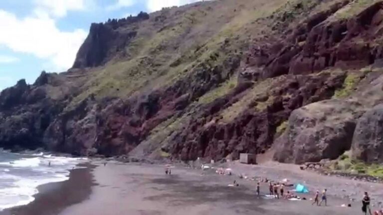 Playas para Perros cerca de Taganana