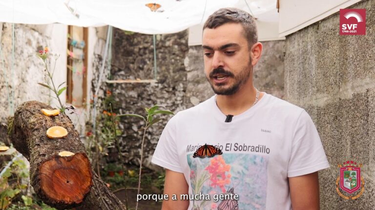 Las Mejores Tiendas de Dise&ntilde;o en Valleseco