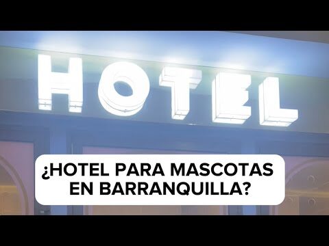 Servicios de Guardería para Mascotas en San Andrés