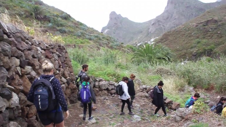 Descubre las Mejores Actividades en Taganana en Otoño
