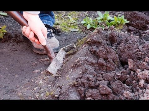Gu&iacute;a para Comprar Productos de Compostaje en Barranco Grande