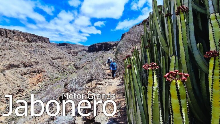 Mejores Rutas de Running en Barranco Grande