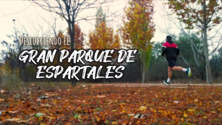 Deporte en Barranco Grande: Mejores Parques para Practicar Actividad Física